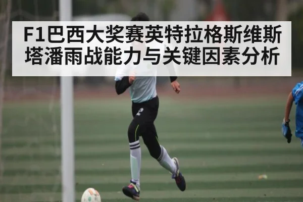 F1巴西大奖赛英特拉格斯维斯塔潘雨战能力与关键因素分析 - stake